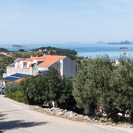Ferienwohnung Pansion Arte Zvrko Zvekovica Exterior foto